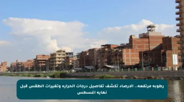 رطوبة مرتفعة.. الأرصاد تكشف تفاصيل درجات الحرارة وتغيرات الطقس قبل نهاية أغسطس